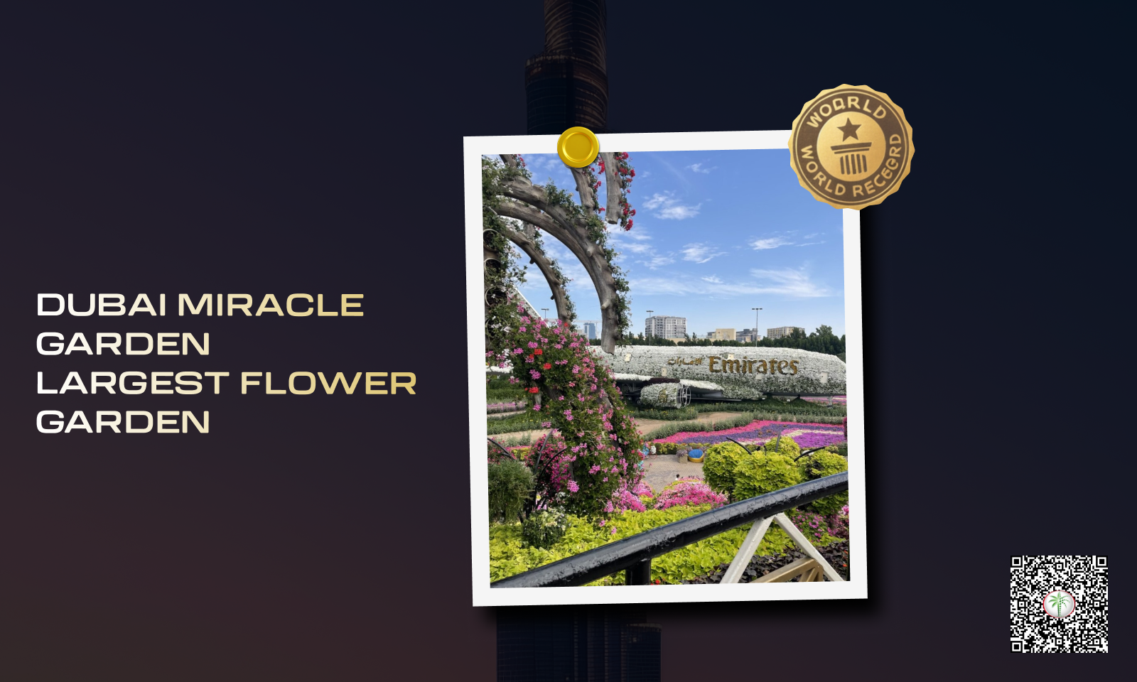 Largest Flower Garden - Dubai Miracle Garden.